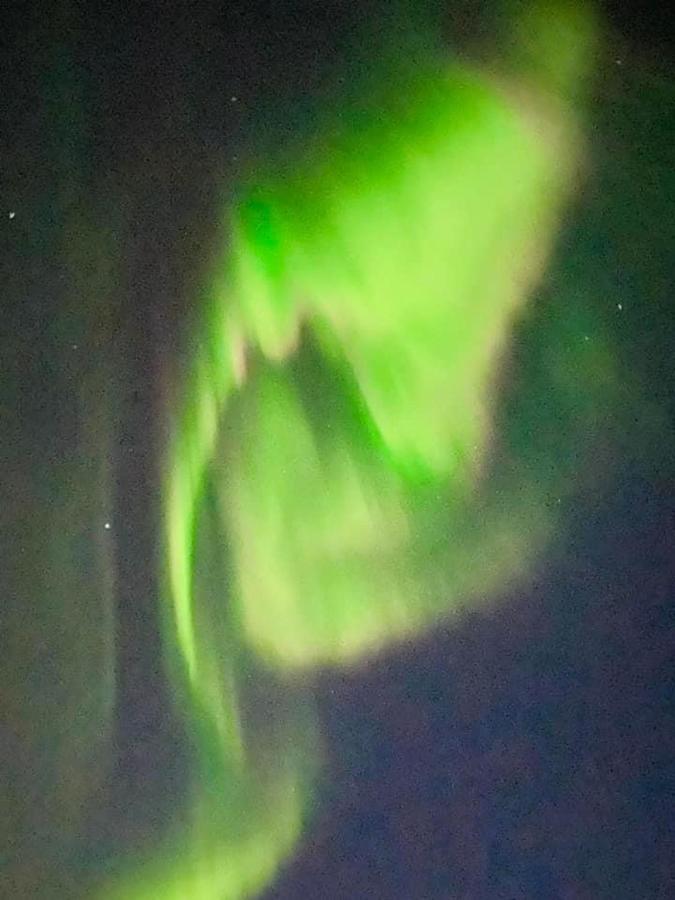 Idyllisk Sjohus Pa Naurstad Bodø Esterno foto