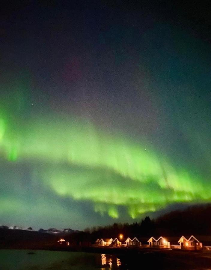 Idyllisk Sjohus Pa Naurstad Bodø Esterno foto
